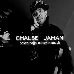 دانلود آهنگ قلب جهان از سید حجت نبوی منش (کاوه)